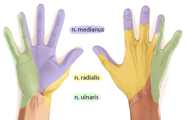 Handkirurgiskt diagnosstöd: domning i hand