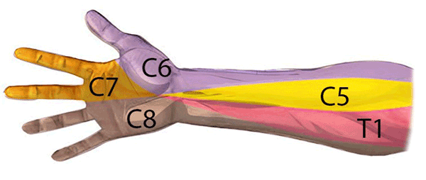 Handkirurgiskt diagnosstöd: proximal nervpåverkan