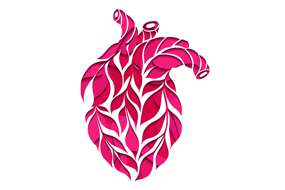 Illustration av ett hjärta