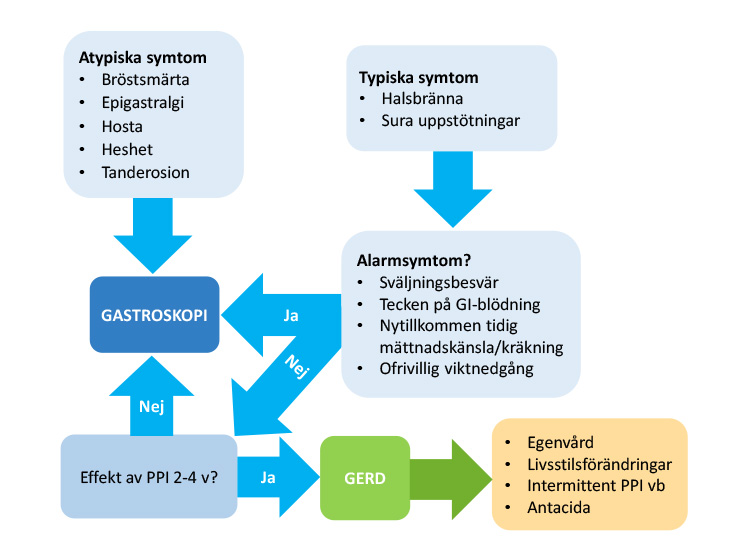 Flödesschema gastroesofageal reflux