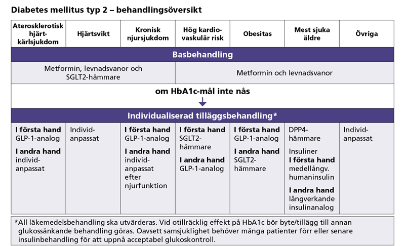 Diabetes typ 2 behandlingsöversikt