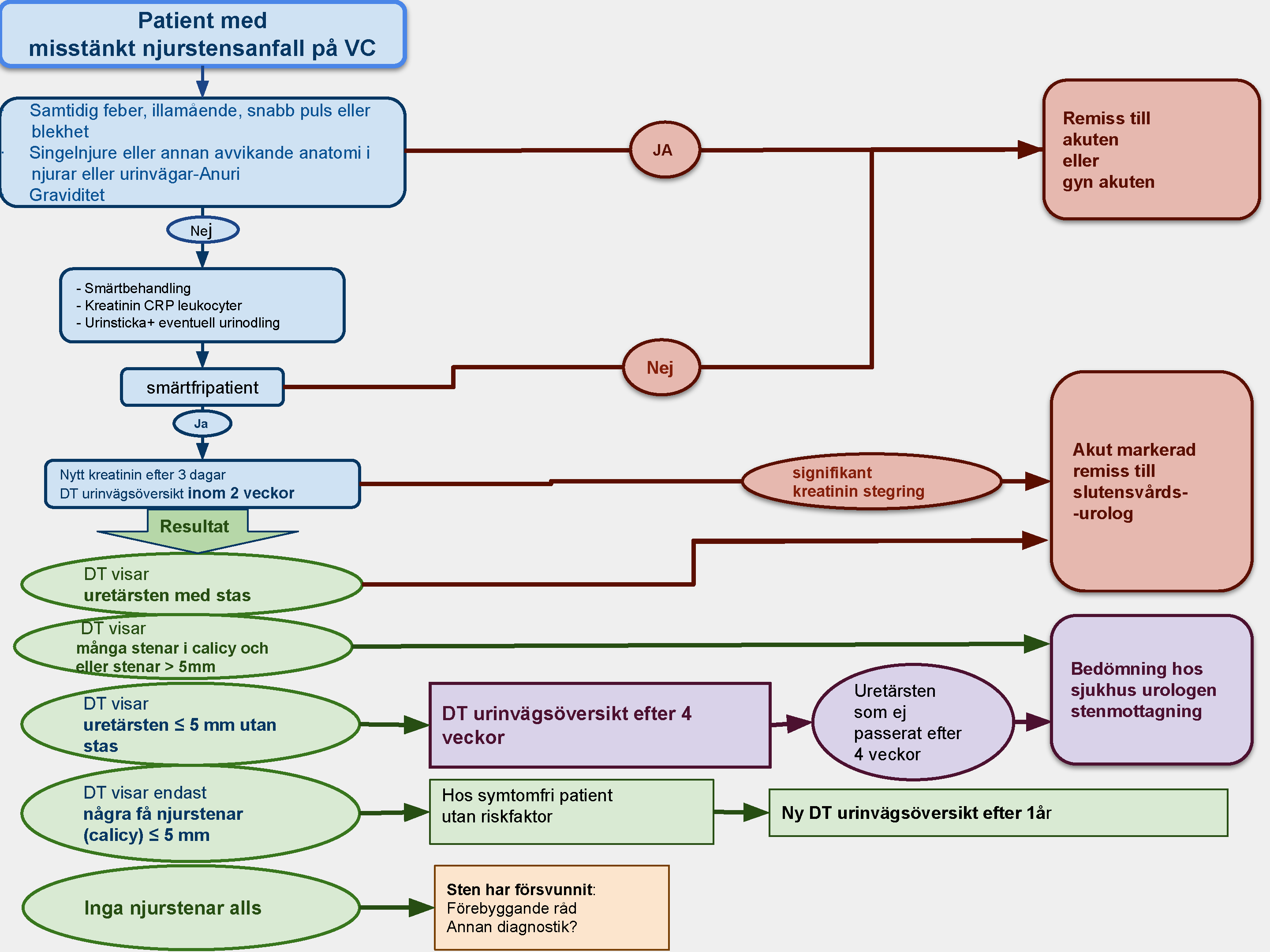 Njurstenssjukdom flödesschema