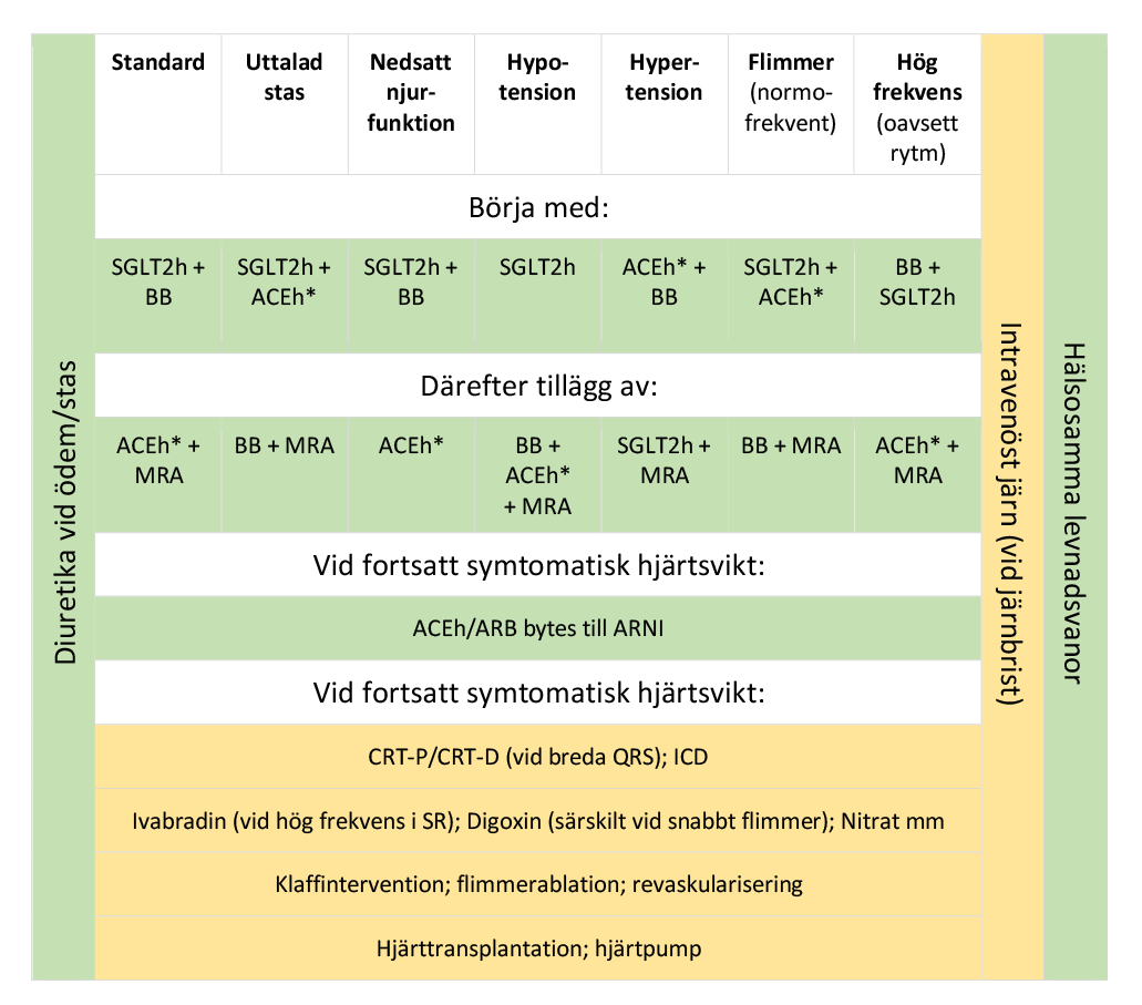 Vägledning vid behandling av kronisk hjärtsvikt