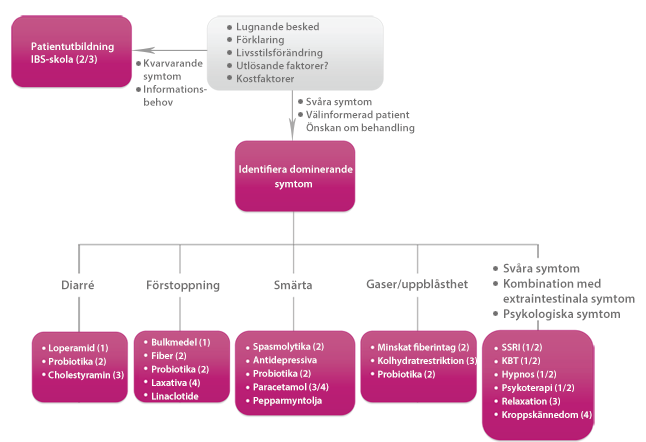 Behandlingsalgoritm IBS