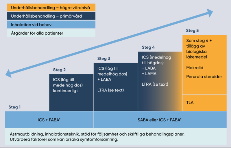 Behandlingstrappa för astma hos vuxna och barn över 12 år