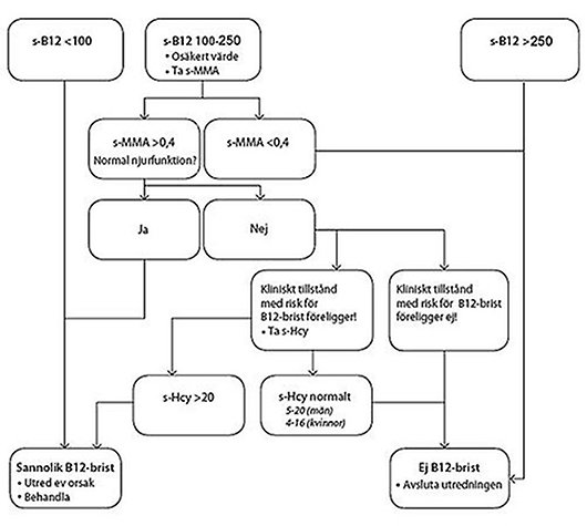 Algoritm brist på vitamin B12