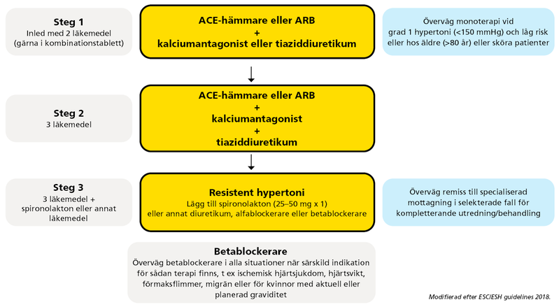 Läkemedelsbehandling vid hypertoni