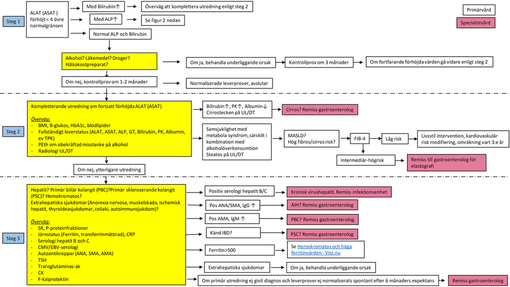 Flödesschema: Förhöjda transaminaser