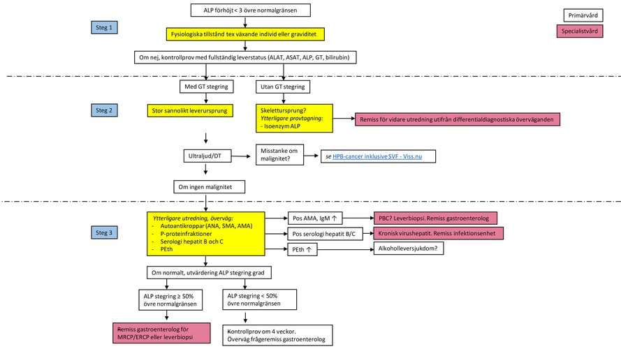 Flödesschema: Förhöjt ALP